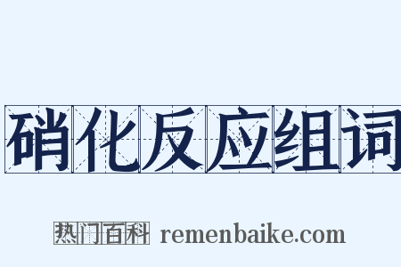 硝化反应组词是什么意思的图片